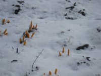 /album/fotogalereya/img-5733-jpg/